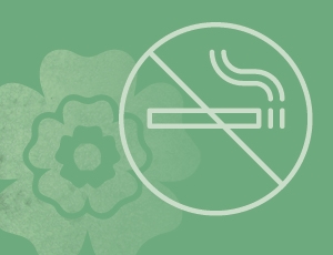 smoking cessation icon