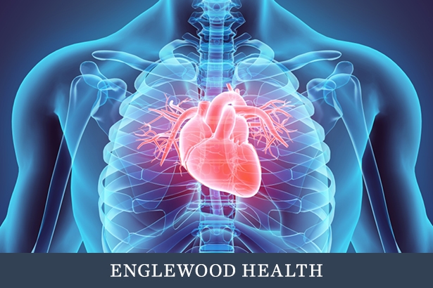 medical illustraion of a heart and chest