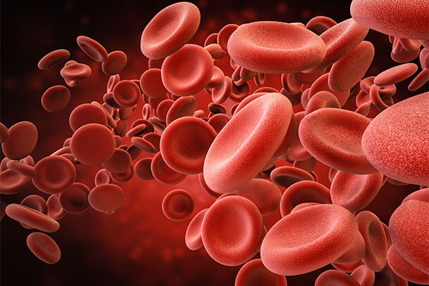 Red blood cells